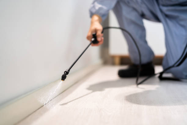 Licensed Cockroach Control service in West Frankfort, IL - Nex Pest Control