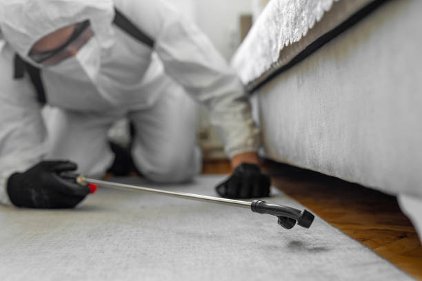 Professional Cockroach Control technician working in West Frankfort, IL