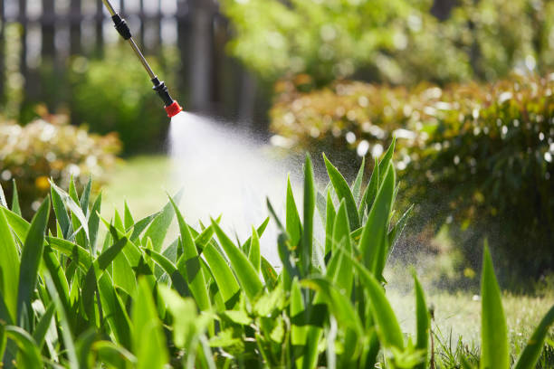 24/7 Emergency Cockroach Control experts in West Frankfort, IL