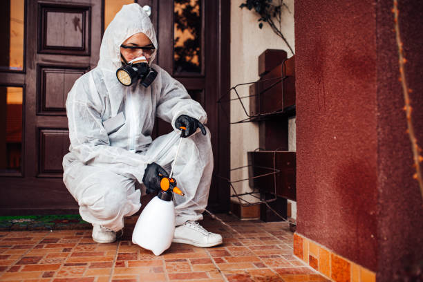 Reliable Cockroach Control contractor in West Frankfort, IL by Nex Pest Control
