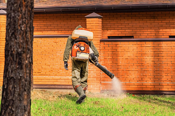 Top rated local Cockroach Control specialists in West Frankfort, IL